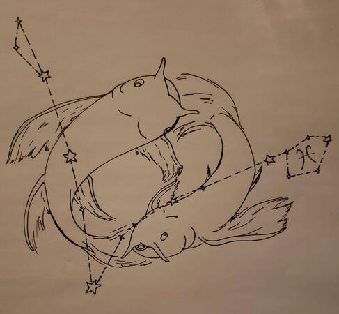 Pisces Constellation